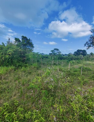Terreno en Macao, Macao con 235 mts² en Macao, Macao - Imagen 7