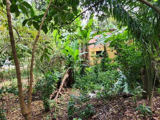 Finca en Centro De La Ciudad, San Cristóbal en Centro De La Ciudad, San Cristóbal - Imagen 5