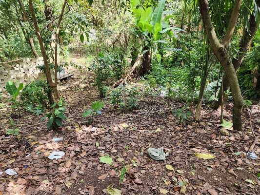 Finca en Centro De La Ciudad, San Cristóbal en Centro De La Ciudad, San Cristóbal - Imagen 6