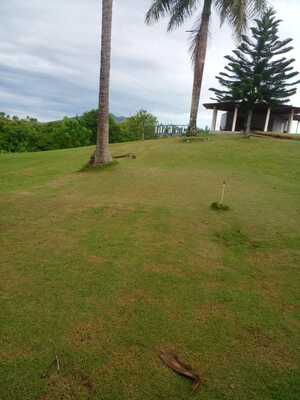 Villa en Comatillo, Bayaguana de 11 tareas - Imagen 2