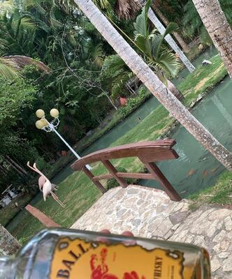 Villa en San Antonio, San Antonio De Guerra con 3 habitaciones, 3 baños de 4276 mts² - Imagen 2