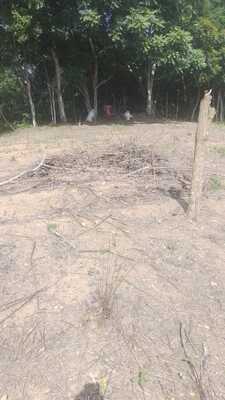 Finca en Don Juan O Centro Del Pueblo, Monte Plata de 25 tareas - Imagen 4