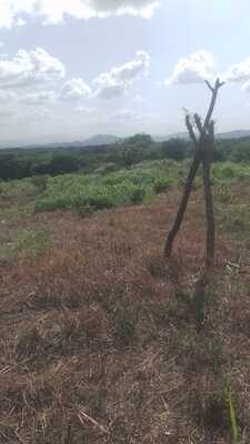 Finca en Don Juan O Centro Del Pueblo, Monte Plata de 25 tareas - Imagen 5