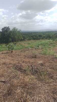 Finca en Don Juan O Centro Del Pueblo, Monte Plata de 25 tareas - Imagen 6