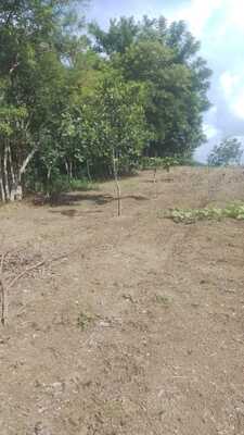 Finca en Don Juan O Centro Del Pueblo, Monte Plata de 25 tareas - Imagen 7