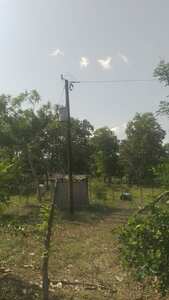 Imagen de Finca
