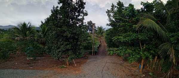 Finca en Don Juan O Centro Del Pueblo, Monte Plata de 62 tareas - Imagen 6