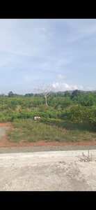 Imagen de Finca