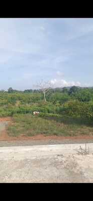 Finca en Don Juan O Centro Del Pueblo, Monte Plata de 62 tareas - Imagen 1