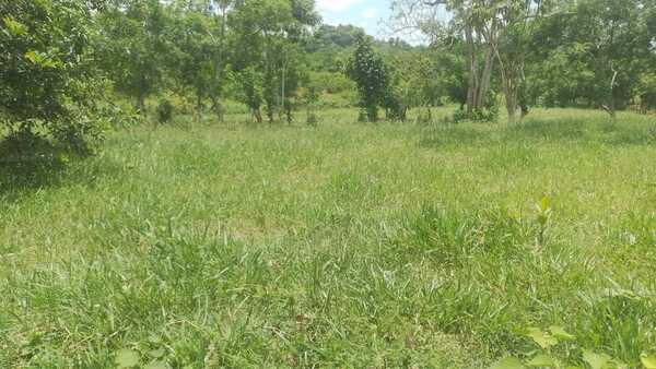 Finca en El Laurel, Monte Plata de 12 tareas - Imagen 3