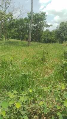 Finca en El Laurel, Monte Plata de 12 tareas - Imagen 5