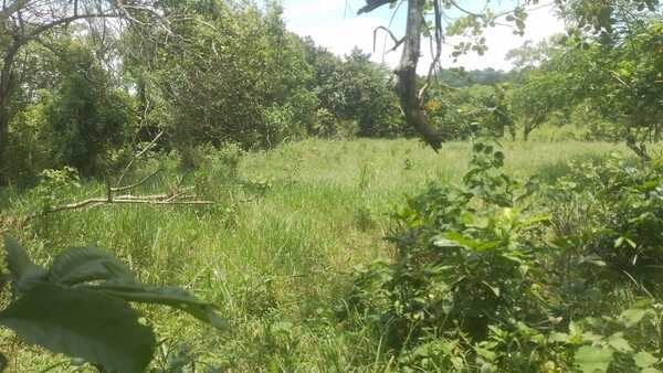 Finca en El Laurel, Monte Plata de 12 tareas - Imagen 6