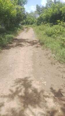 Finca en El Laurel, Monte Plata de 12 tareas - Imagen 7