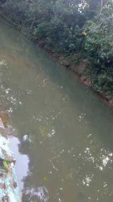 Finca en El Cajuilito, Monte Plata de 20 tareas - Imagen 2