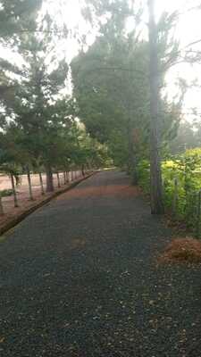 Finca en El Cajuilito, Monte Plata de 20 tareas - Imagen 7