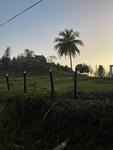 Finca en Amaceyes, Sabana Grande De Boyá de 1500 mts² - Imagen 10