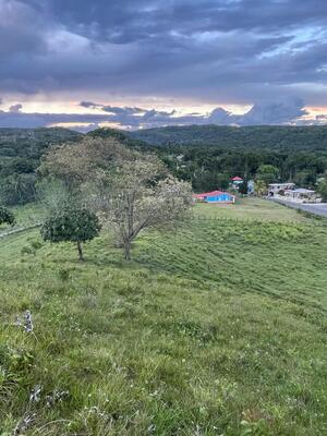 Finca en Amaceyes, Sabana Grande De Boyá de 1500 mts² - Imagen 7
