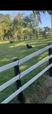 Finca en Ana Santana, Monte Plata de 2515 mts² - Imagen 3