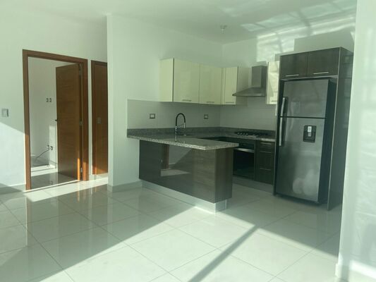 Apartamento en Piantini, Santo Domingo D.N. de 1 habitación con 1 baño y 1 parqueo con 60 mts² con mantenimiento incluido - Imagen 4