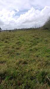 Imagen de Finca