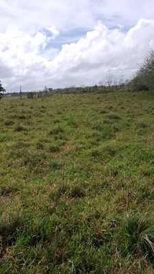 Finca en autovía carretera de Samaná, Monte Plata de 26412 mts² - Imagen 1