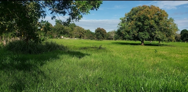 Finca en Hacienda Estrella, Santo Domingo Norte de 168518 mts² - Imagen 6