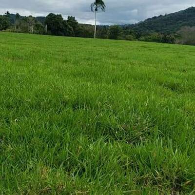 Finca en Hacienda Estrella, Santo Domingo Norte de 168518 mts² - Imagen 7