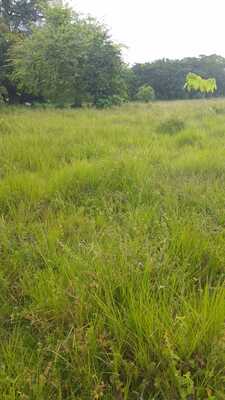 Finca en Hacienda Estrella, Santo Domingo Norte de 168518 mts² - Imagen 2