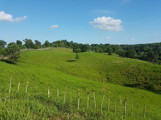 Finca en Batey Guanuma, Santo Domingo Norte de  62,880 mts² - Imagen 7