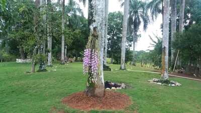 Imagen de Finca