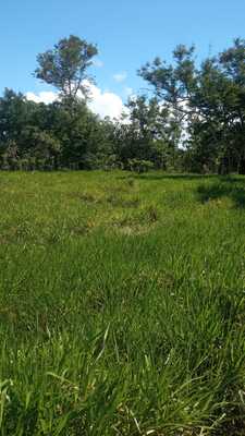 Finca en Centro Del Pueblo, Los Llanos de 711801 mts² - Imagen 2