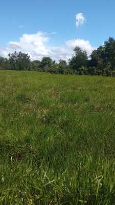 Finca en Centro Del Pueblo, Los Llanos de 711801 mts² - Imagen 4