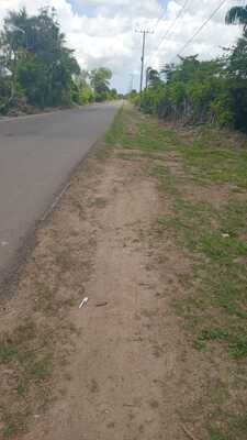 Finca en Centro Del Pueblo, Los Llanos de 711801 mts² - Imagen 6