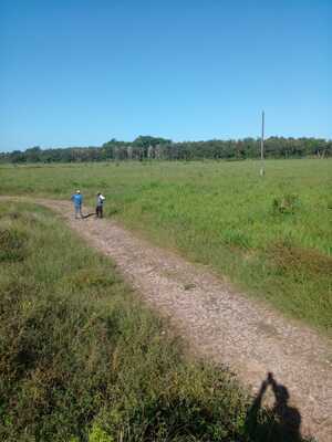 Finca en Agua Buena, Bayaguana de 900 mts² - Imagen 2