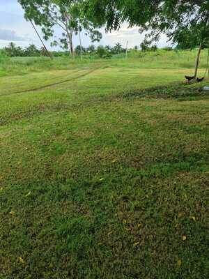 Finca en San José, Los Llanos de 179,837 mts² - Imagen 7