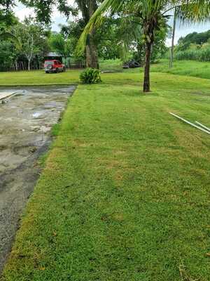 Finca en San José, Los Llanos de 179,837 mts² - Imagen 2