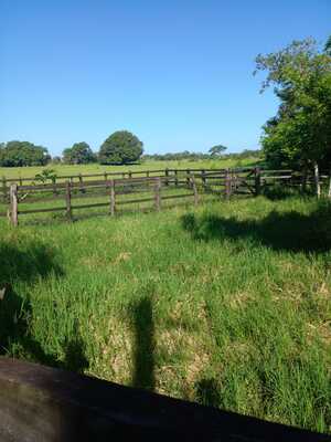 Finca en Agua Buena, Bayaguana de 565,920 mts² - Imagen 3