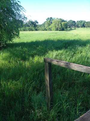 Finca en Agua Buena, Bayaguana de 565,920 mts² - Imagen 6