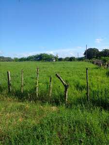 Imagen de Finca