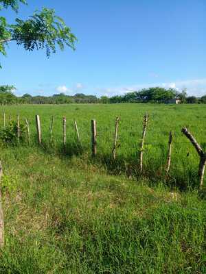 Finca en Agua Buena, Bayaguana de 565,920 mts² - Imagen 2