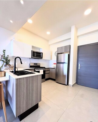 Apartamento en Piantini, Santo Domingo D.N. con 1 habitación, 1 baño, 1 parqueo de 77 mts² - Imagen 3