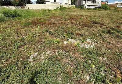 Imagen de Terreno