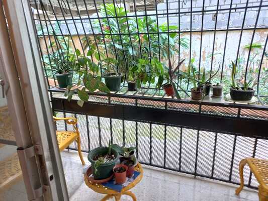 Apartamento en Bella Vista, Santo Domingo D.N. con 1 habitación, 1 baño, 1 parqueo de 69 mts² - Imagen 4