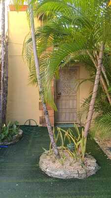 Habitación en Bella Vista, Santo Domingo D.N. de 21 mts² con mantenimiento incluido - Imagen 3