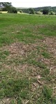 Terreno en Aesa, Santo Domingo D.N. de 246000 mts² - Imagen 1