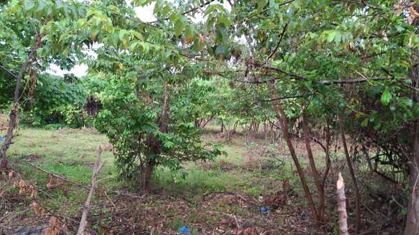 Terreno en Las Galeras, Samaná de 500 mts² - Imagen 3