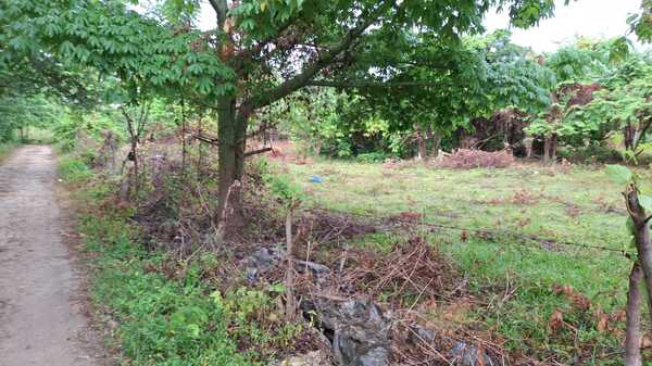 Terreno en Las Galeras, Samaná de 500 mts² - Imagen 4