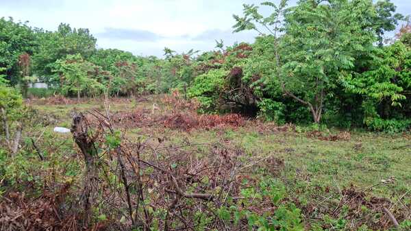 Terreno en Las Galeras, Samaná de 500 mts² - Imagen 5