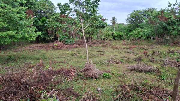 Terreno en Las Galeras, Samaná de 500 mts² - Imagen 6