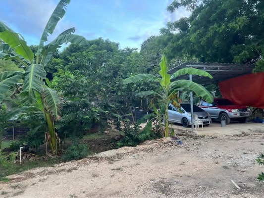 Finca en Juan Dolio, Juan Dolio de 3000 mts² - Imagen 5